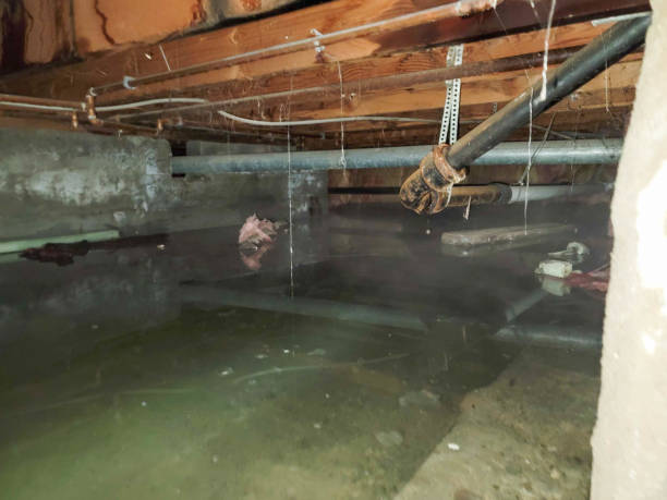 Best Flooded house restoration  in Huntley, IL
