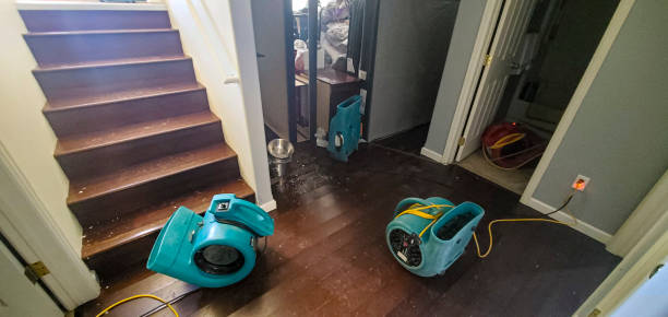 Best 24/7 water damage repair  in Huntley, IL