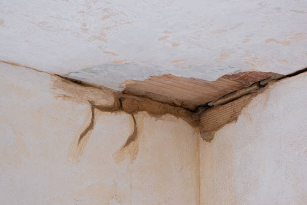 Best Sewage cleanup and water damage restoration  in Huntley, IL