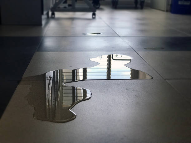 Best Professional water damage repair  in Huntley, IL