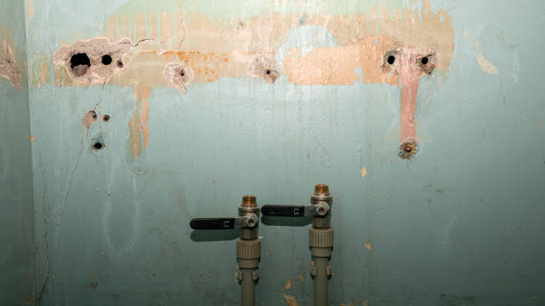 Best Sewage cleanup and water damage restoration  in Huntley, IL