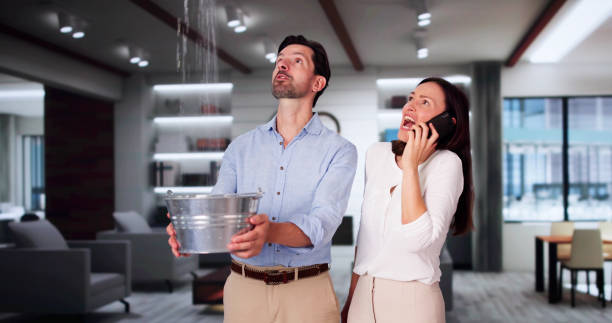 Best Water damage mitigation services  in Huntley, IL