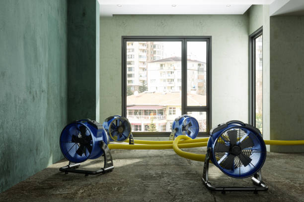 Best Flood restoration services  in Huntley, IL