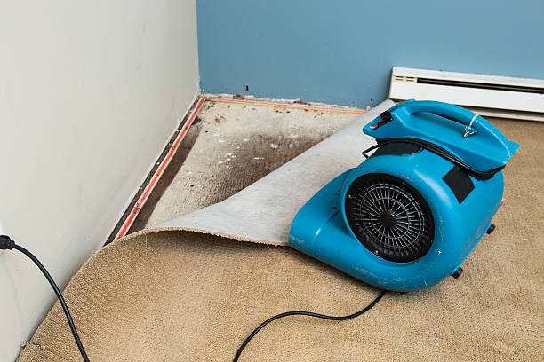 Water damage restoration mold remediation in Huntley, IL
